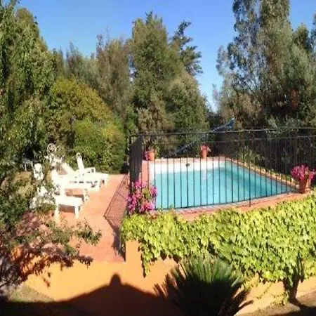 Magnificent With Private Pool Frejus